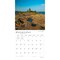 BrownTrout; Michigan Nature | 2027 12 x 24 Inch (Hanging) Monthly Square Wall Calendar | Plastic-Free; Category:Wall Calendars; Image:5
